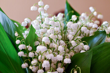 a bouquet of flowers in a vase