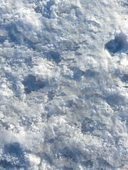 Obraz premium The snow is white and the ground is covered in it