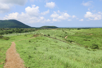 산 정상을 올라가는 들판 길 제주 제주시 구좌읍 종달리 용눈이오름