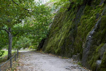 Walking path near a moss-covered rock. Beautiful northern nature. Monrepos Park, Vyborg, Leningrad Region, Russia.