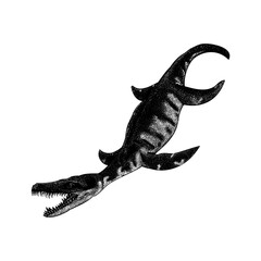 Fototapeta premium Liopleurodon hand drawing vector isolated on background. 