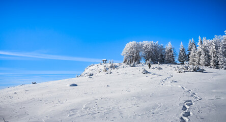 A snow-covered hill under a vibrant blue sky, featuring frosted trees and a small wooden shelter....