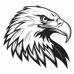 Fototapeta premium Eagle head silhouette vector illustration, head stylized logo, eagle bird icon