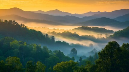 Breathtaking sunrise over misty appalachian mountains with lush green forest