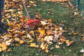 Close-up of a red rake amidst a colorful pile of autumn leaves in shades of yellow, orange, and...