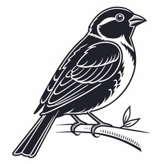 Obraz premium Sparrow bird silhouette vector illustration, bird icon