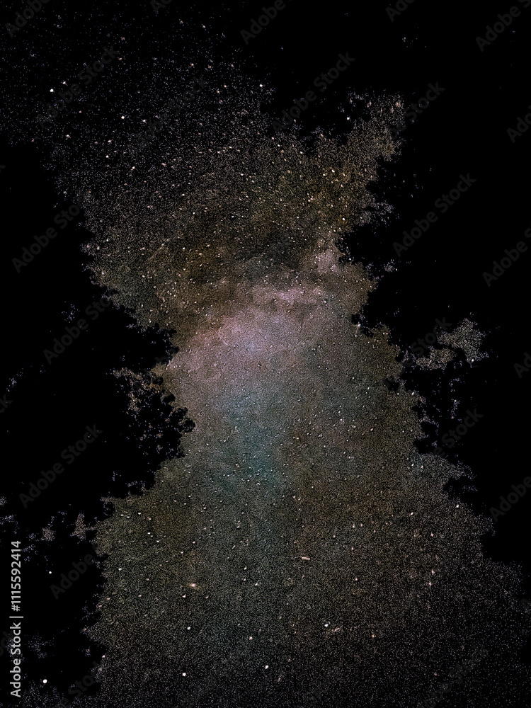 Wall mural a photo of a galaxy and a constellation on the background of a silhouette of trees