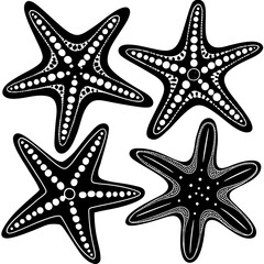 Set of starfish silhouette vector illustration, Starfish icon collection