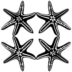 Set of starfish silhouette vector illustration, Starfish icon collection