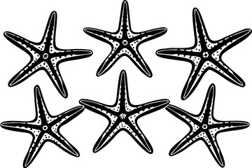 Set of starfish silhouette vector illustration, Starfish icon collection