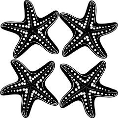 Set of starfish silhouette vector illustration, Starfish icon collection