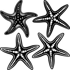 Set of starfish silhouette vector illustration, Starfish icon collection
