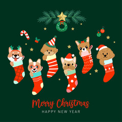 Collection of cute dogs in Christmas socks. Illustrations for Christmas and New Year.