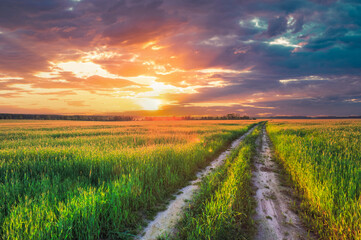 Fototapeta premium Sunset Over Rural Road In Green Field