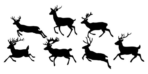 Fototapeta premium silhouette of an antlered wildebeest