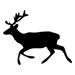 Fototapeta premium silhouette of an antlered wildebeest