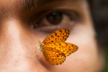 Butterfly sitting on a young man’s face, Symbiosis of man and nature.