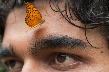 Butterfly sitting on a young man’s face, Symbiosis of man and nature.