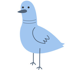 Cute bird animal