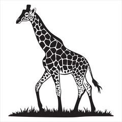 Obraz premium Giraffe silhouette vector on white background, A black and white drawing of a lion, Silhouette picture.