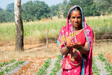 women farmer working at strawberry farm in the morning.