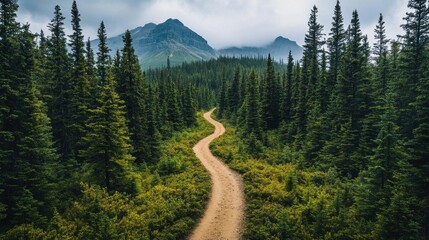 A winding dirt path through lush green forests and mountains.