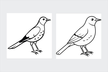 Obraz premium Bird line art vector illustration icons