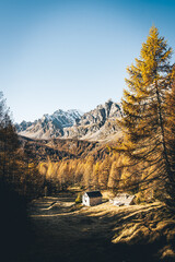 Foliage all'Alpe Sangiatto (Alpe Devero) in autunno