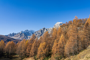 Foliage all'Alpe Sangiatto (Alpe Devero) in autunno