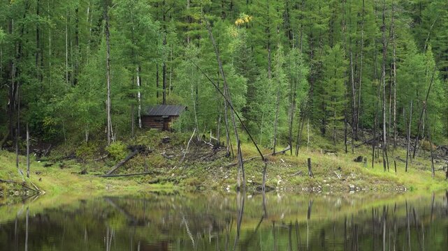 Zeya Reservoir Nature Reserve. View from a boat. A small wooden hut on the lake shore, surrounded by a coniferous forest.