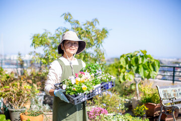 ガーデニング、秋の植え替え、日本人のミドル女性