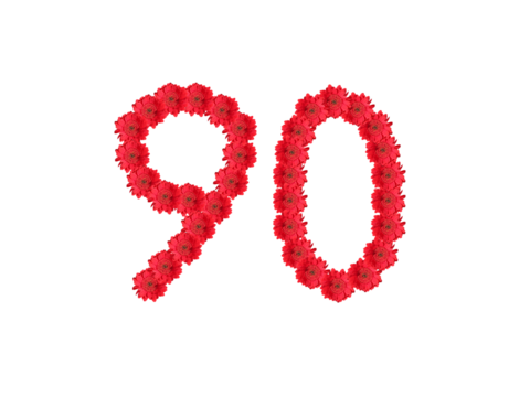 number ninety, made of isolated red gerbera blossoms, white background