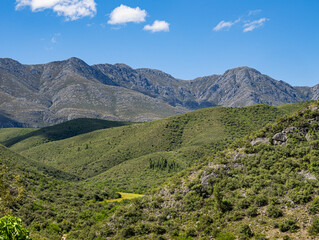 Fototapeta premium Cango Caves - Local Mountains