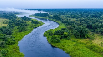 Serene River Landscape Lush Green Foliage Winding River Aerial View Nature Scenery Tranquil