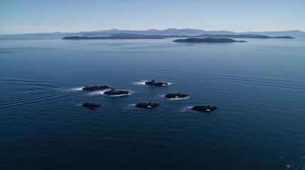 Aerial view of a pod of whales swimming in calm waters near distant mountains.
