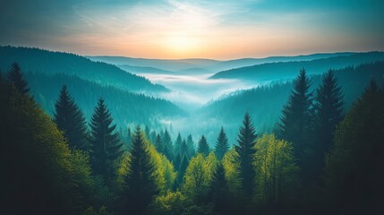 Obraz premium Misty Mountain Sunrise Serene Forest Landscape Photography
