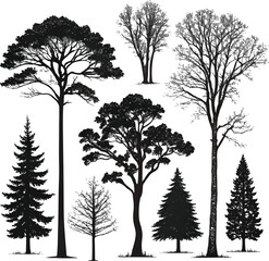 Fototapeta premium silhouettes of trees