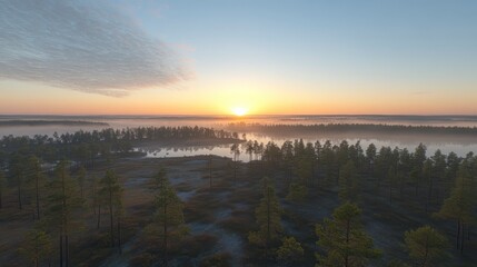 Serene Sunrise over Misty Pine Forest Lake Landscape
