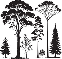 Obraz premium silhouettes of trees