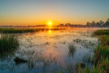 Obraz premium Serene sunrise over a misty wetland with lush vegetation.