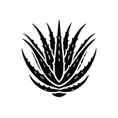 Aloe Vera Silhouette