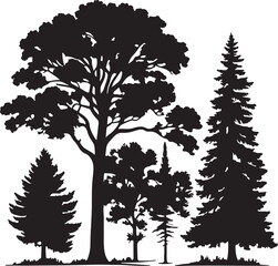 Obraz premium silhouettes of trees