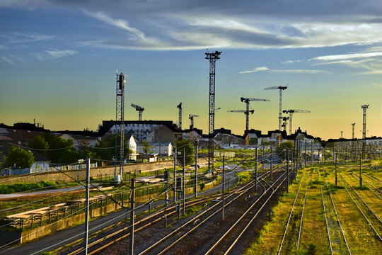 Rails et Grues