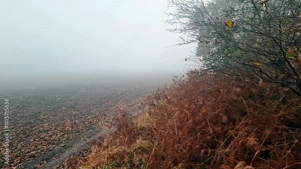 Aufkleber dense fog rolling over a field in autumn, creating a mysterious atmosphere with dry grass and bare t