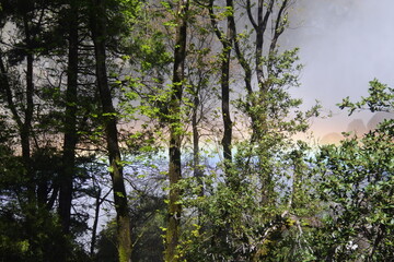 Ein Regenbogen am Fu&szlig; des Bridalveil Falls im Yosemite Valley