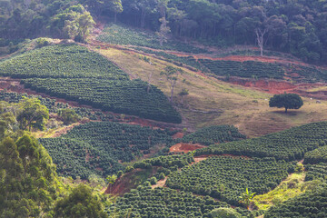 Rural landscapes in Brazil
