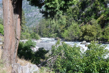 Wildwasser des Merced River im Yosemite Valley