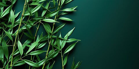 Fototapeta premium bamboo leaves on a mat
