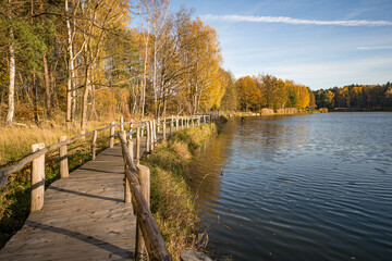 Waldsee und Steg