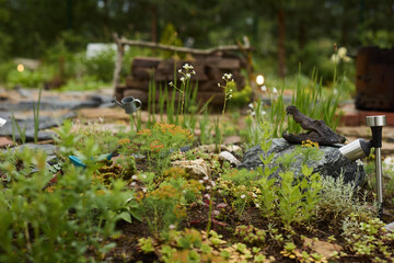 Fototapeta premium A Beautiful Miniature Garden Scene Featuring Birds Amidst Lush, Vibrant Vegetation and Life
